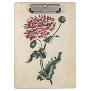 Vintage botanische Blumenmohnblüte Klemmbrett