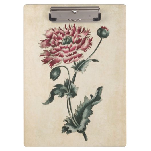 Vintage botanische Blumenmohnblüte Klemmbrett (Vorderseite)