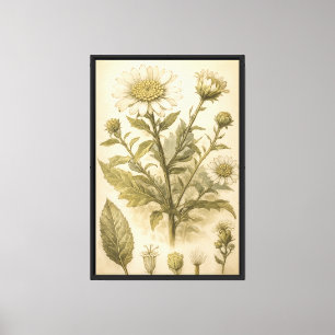Vintage botanische Blumenplatten-Illustration Leinwanddruck