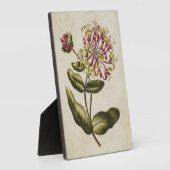 Vintage Botanische Blumenschale Fotoplatte (Seite)