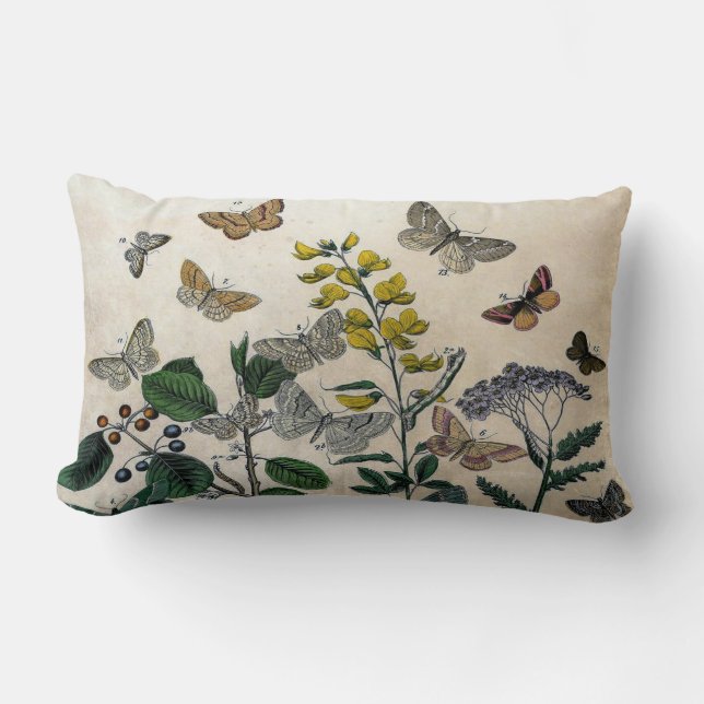 Vintage botanische Blumenschmetterlings-rustikale Lendenkissen (Vorderseite)