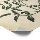 Vintage Botanische Blumenschrift Poster (Ecke)