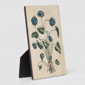 Vintage Botanische Blumenviolette Fotoplatte (Seite)