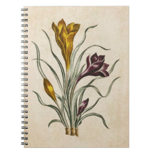 Vintage botanische Blütenblütendarstellung Notizblock