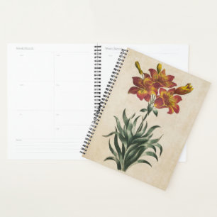 Vintage botanische Blütenlilie Planer