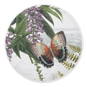 Vintage botanische Butterfly-Hütte Weiß 1 Keramikknauf