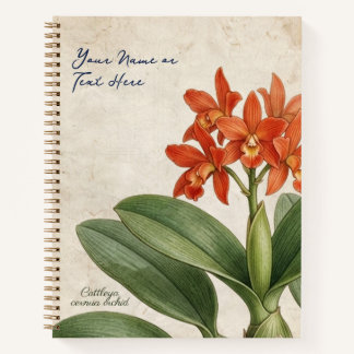 Vintage botanische Cattleya Cernua Orchideen-Blüte Notizblock