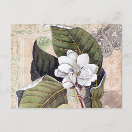 Vintage botanische Collage mit Magnolien Postkarte