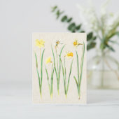 Vintage botanische Daffodil Illustration Postkarte (Stehend Vorderseite)
