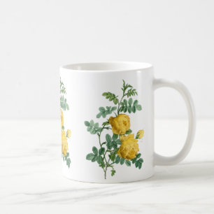 Vintage botanische Darstellung des Gelbroses Kaffeetasse