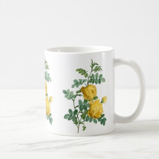 Vintage botanische Darstellung des Gelbroses Kaffeetasse (Rechts)