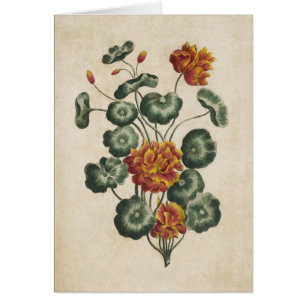 Vintage botanische Doppelkleider