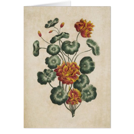 Vintage botanische Doppelkleider (Vorne)