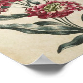 Vintage botanische doppelte Blütendrucke Poster (Ecke)