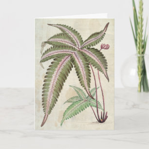 Vintage botanische, dreistöckige Pteris Karte