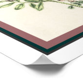 Vintage botanische Druckausgabe 16x20 Poster (Ecke)