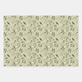 Vintage botanische Elfenbein-/Gehaltspapiere Geschenkpapier Set (Vorderseite 3)