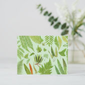 Vintage botanische Ferns Postkarte (Stehend Vorderseite)