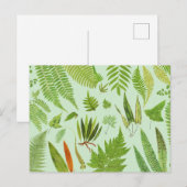 Vintage botanische Ferns Postkarte (Vorne/Hinten)