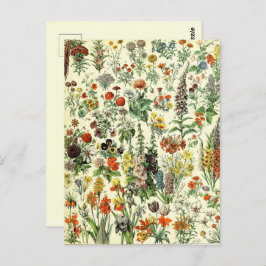 Vintage Botanische Fleurs Postkarte