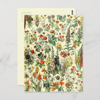 Vintage Botanische Fleurs Postkarte