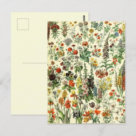 Vintage Botanische Fleurs Postkarte (Vorne/Hinten)