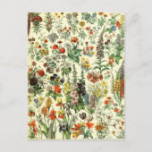 Vintage Botanische Fleurs Postkarte (Vorderseite)