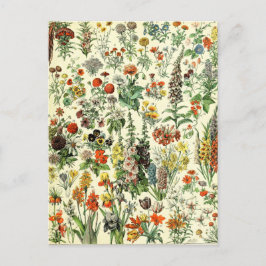 Vintage Botanische Fleurs Postkarte