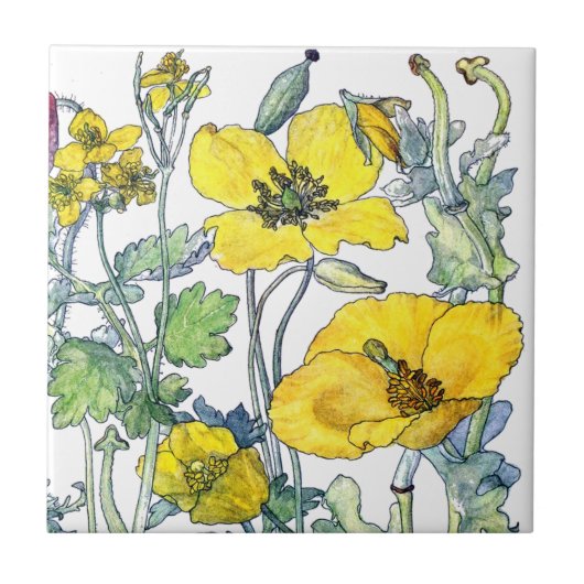 Vintage botanische fliese (Vorderseite)