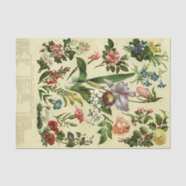 Vintage botanische Flora Seidenpapier
