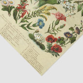 Vintage botanische Flora Seidenpapier (Ausschnitt)