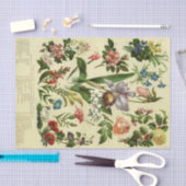 Vintage botanische Flora Seidenpapier (Handwerk)