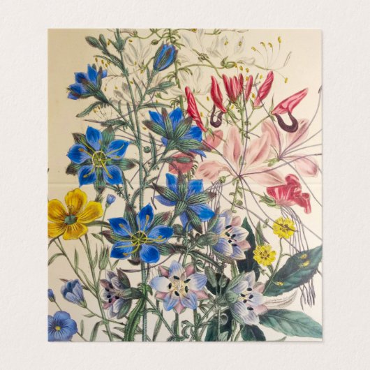 Vintage botanische Flora Visitenkarten (Außenseite Aufgefaltet)