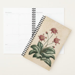 Vintage botanische Floral Daisy Planer