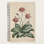 Vintage botanische Floral Daisy Planer (Vorderseite)