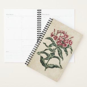 Vintage botanische Floral Lychnidea Planer