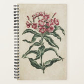 Vintage botanische Floral Lychnidea Planer (Vorderseite)