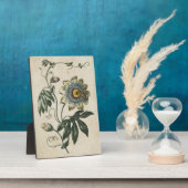 Vintage botanische florale Leidenschaft Blume Fotoplatte (Seite)