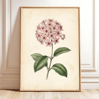 Vintage Botanische Florale Wandkunst Druck Poster