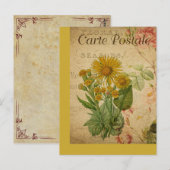 Vintage Botanische Französische Postkarte (Vorne/Hinten)