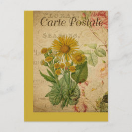 Vintage Botanische Französische Postkarte
