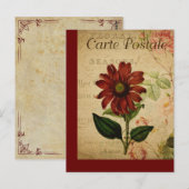 Vintage Botanische Französische Postkarte Echinace (Vorne/Hinten)