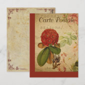 Vintage Botanische Französische Postkarte Rhododen (Vorne/Hinten)