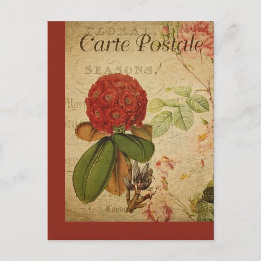 Vintage Botanische Französische Postkarte Rhododen (Vorderseite)