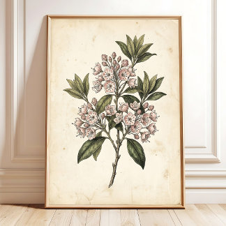 Vintage botanische Galerie-Wandkunst Poster
