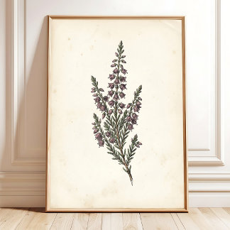 Vintage Botanische Gartenwandkunst Poster
