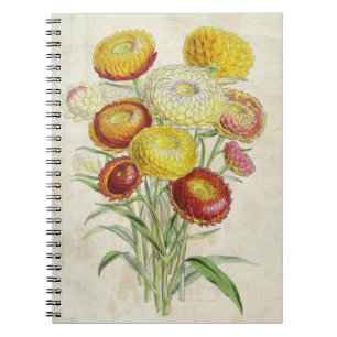 Vintage Botanische, gekrümmte Everlastings Notizblock