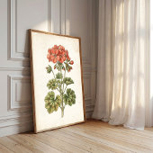 Vintage botanische Geranie-Himdeko Poster