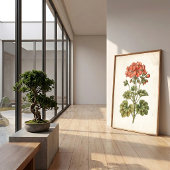 Vintage botanische Geranie-Himdeko Poster