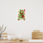 Vintage botanische Himbeer-Illustration Poster (Küche)